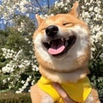 Fátima Camacho Avatar